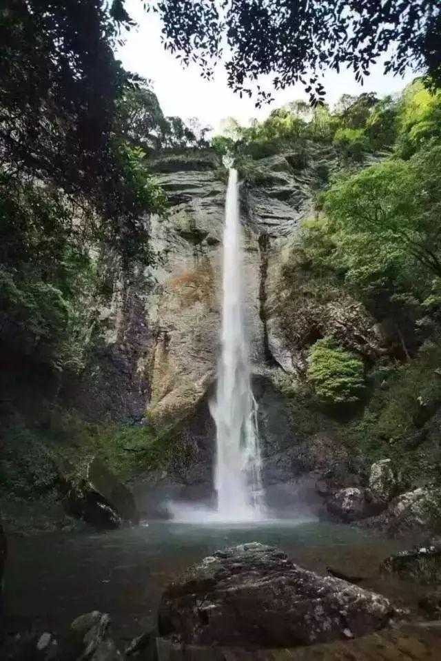 黎明守卫者